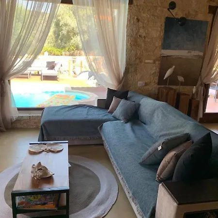 Danae Villa *
